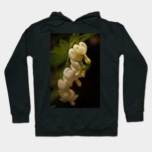 Tears Of My Dreams Hoodie